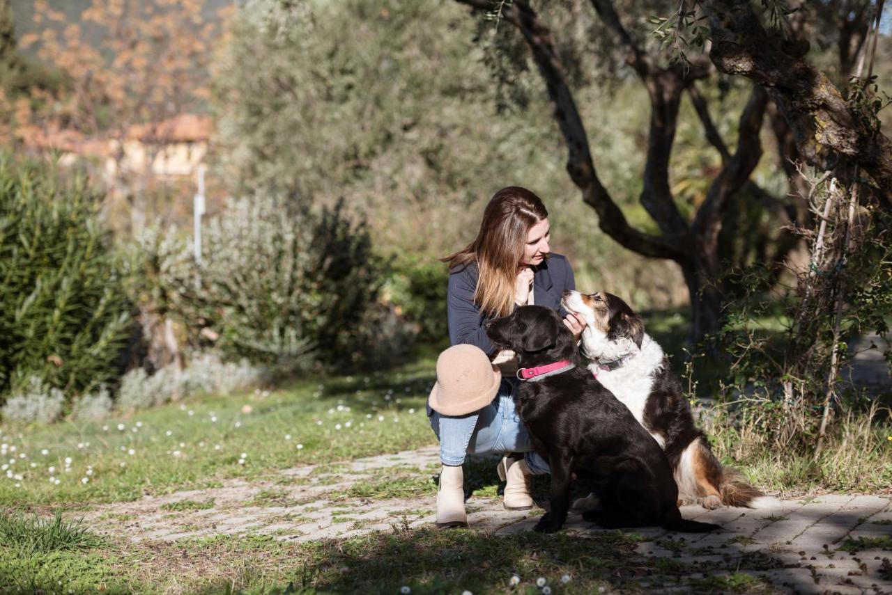 La Muccheria San Vincenzo Eksteriør bilde